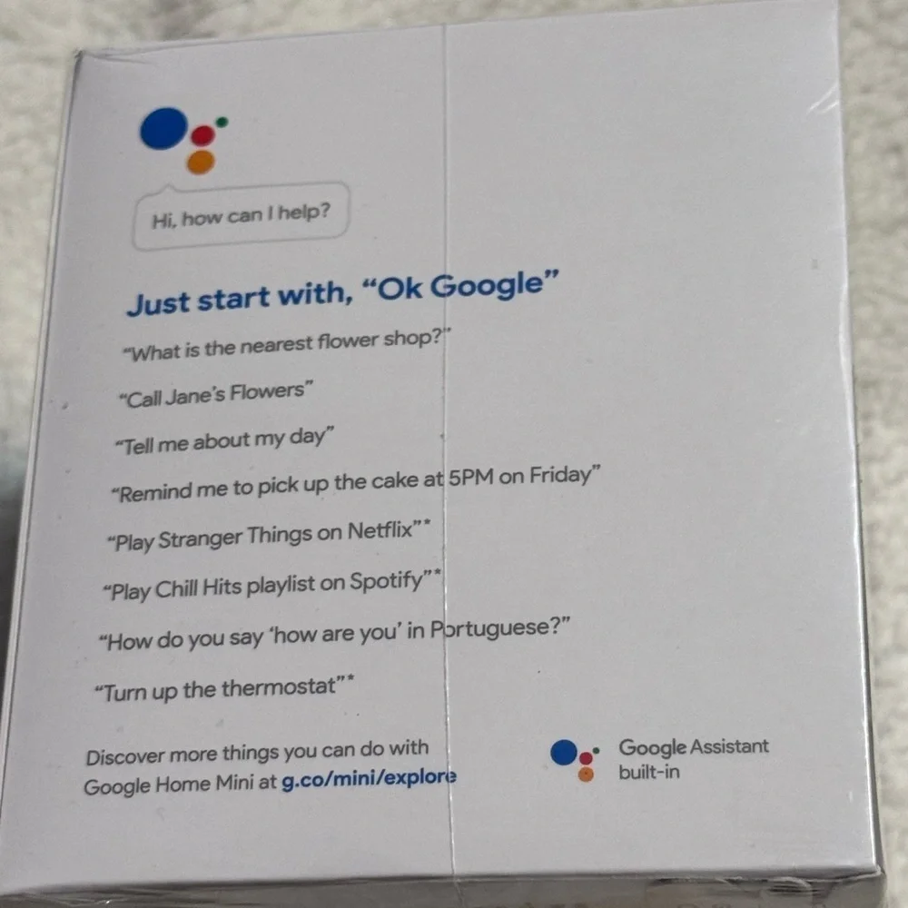Google Home Mini in Charcoal Gray